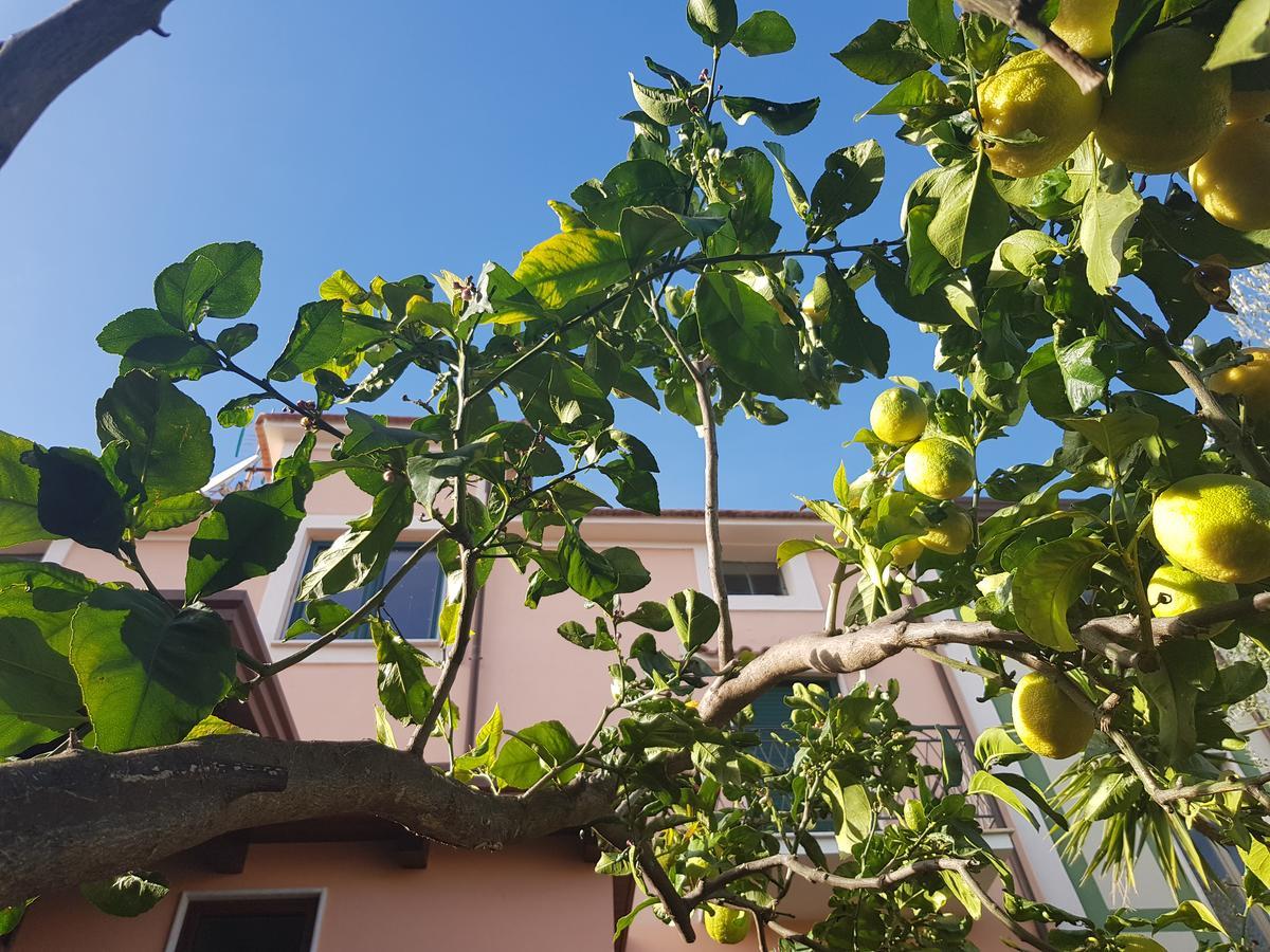 La Casa Di Paolo Casa Di Charme Hotel Marina di Camerota Buitenkant foto
